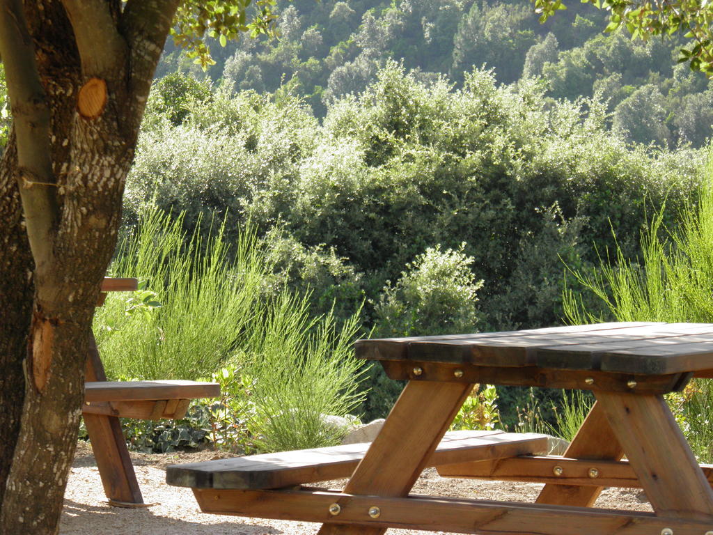 L'Ogliastru Bed & Breakfast Ucciani Eksteriør bilde