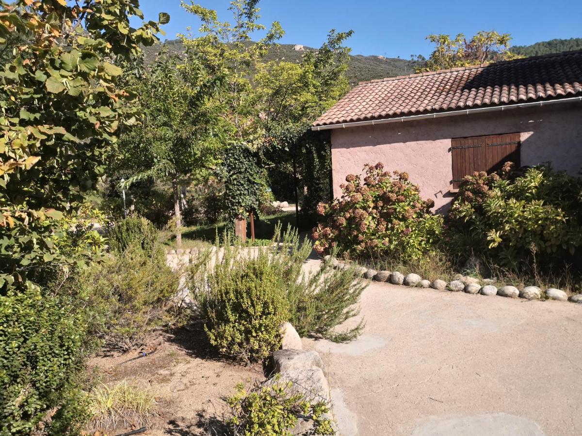 L'Ogliastru Bed & Breakfast Ucciani Eksteriør bilde